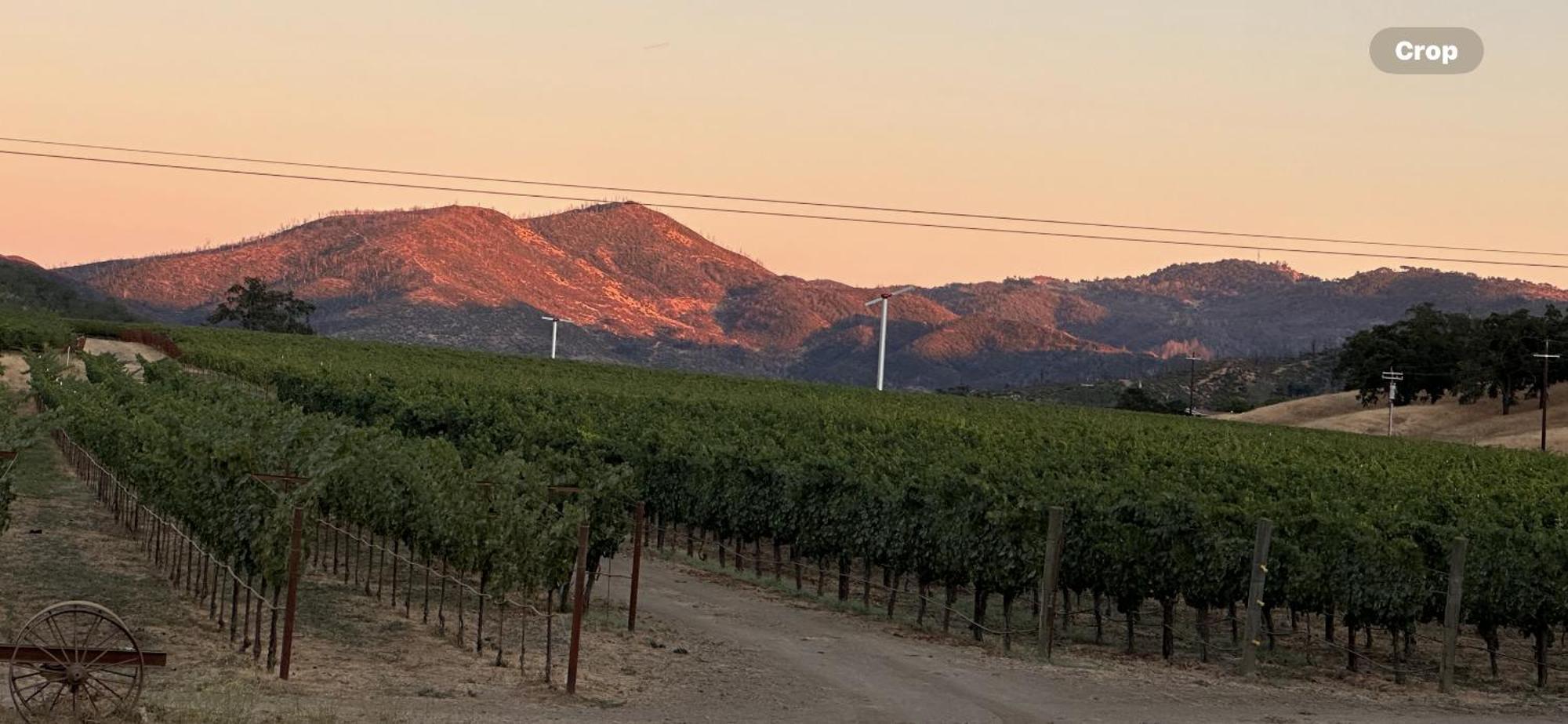 Rustridge Ranch & Winery Bed and Breakfast St. Helena Exteriör bild
