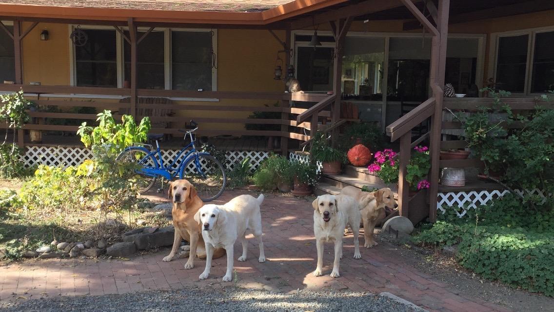 Rustridge Ranch & Winery Bed and Breakfast St. Helena Exteriör bild