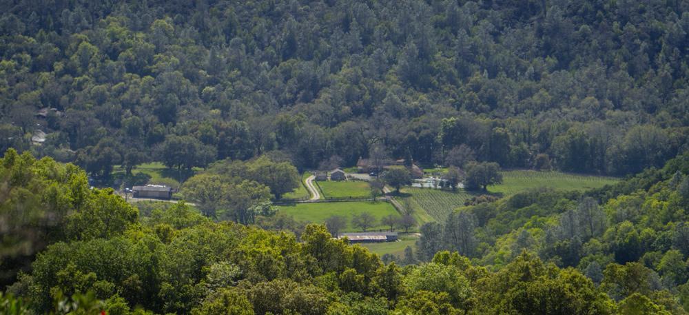 Rustridge Ranch & Winery Bed and Breakfast St. Helena Exteriör bild