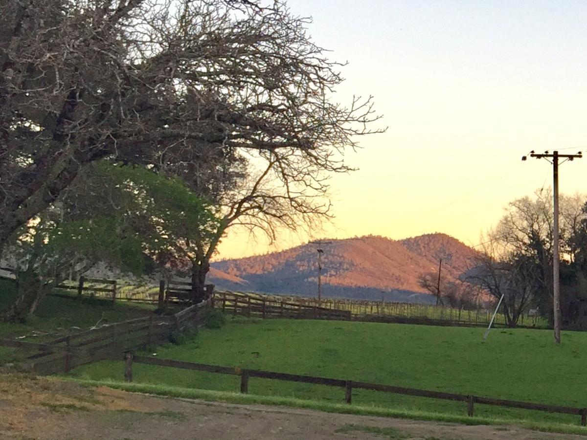 Rustridge Ranch & Winery Bed and Breakfast St. Helena Exteriör bild
