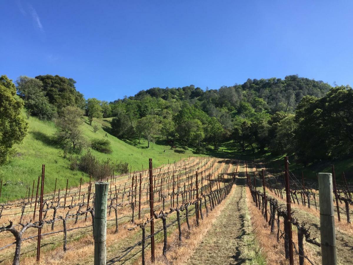 Rustridge Ranch & Winery Bed and Breakfast St. Helena Exteriör bild