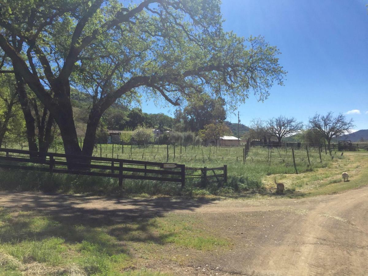 Rustridge Ranch & Winery Bed and Breakfast St. Helena Exteriör bild