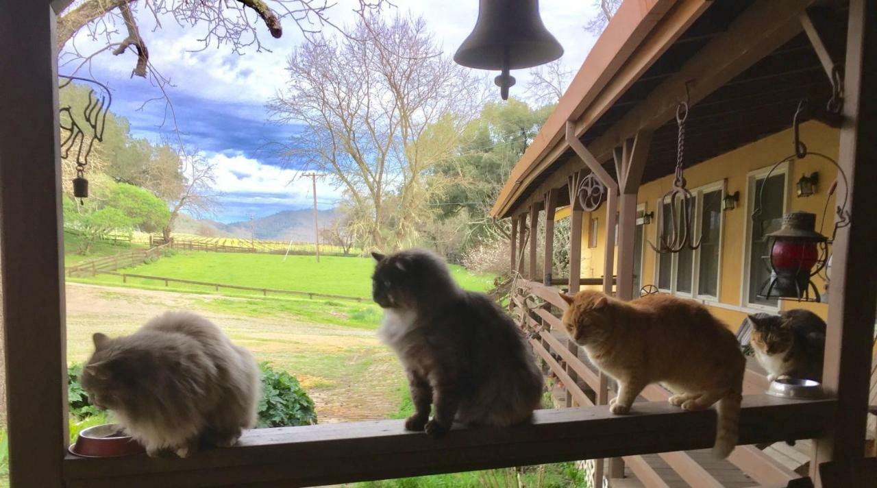 Rustridge Ranch & Winery Bed and Breakfast St. Helena Exteriör bild
