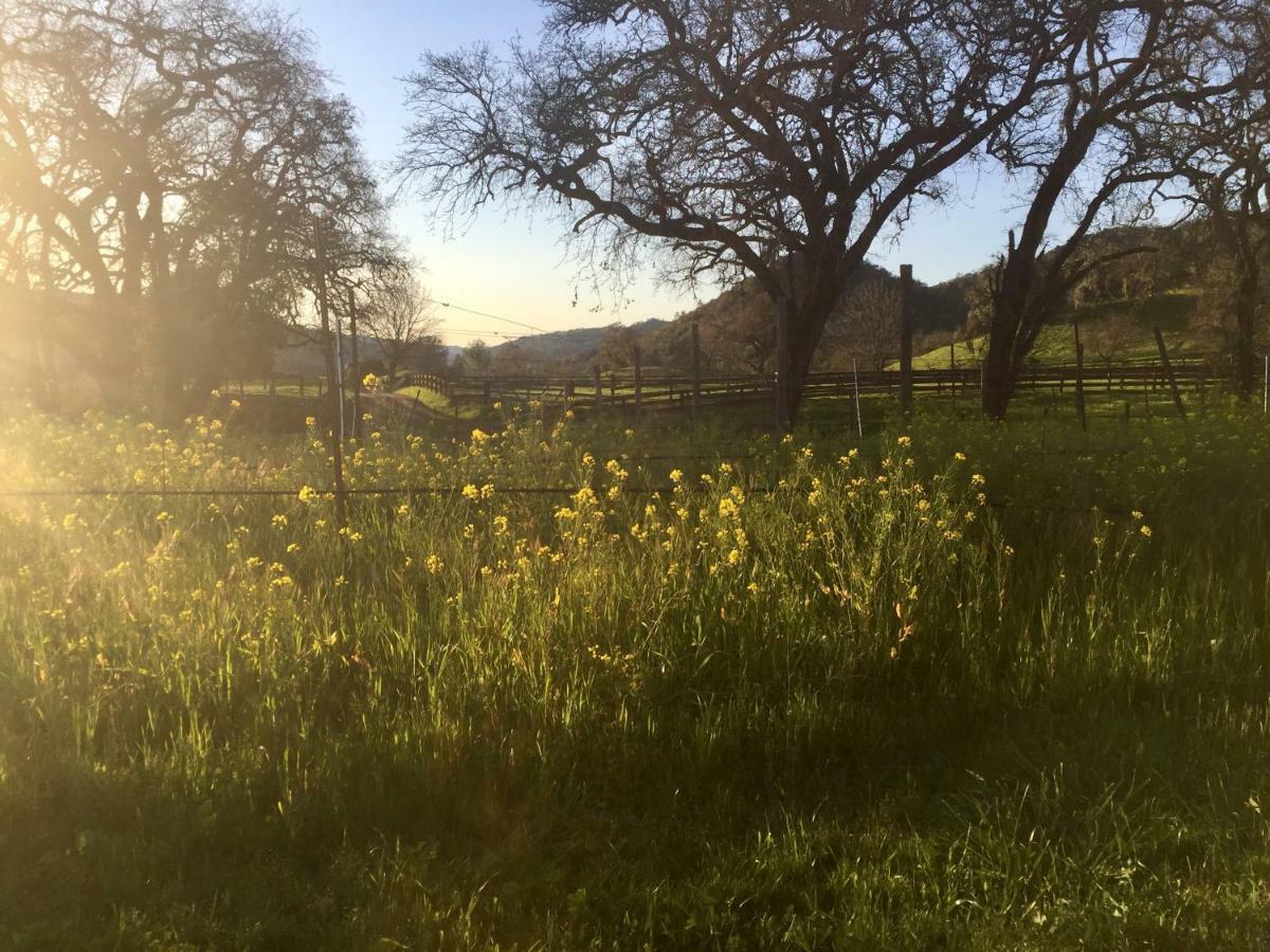 Rustridge Ranch & Winery Bed and Breakfast St. Helena Exteriör bild