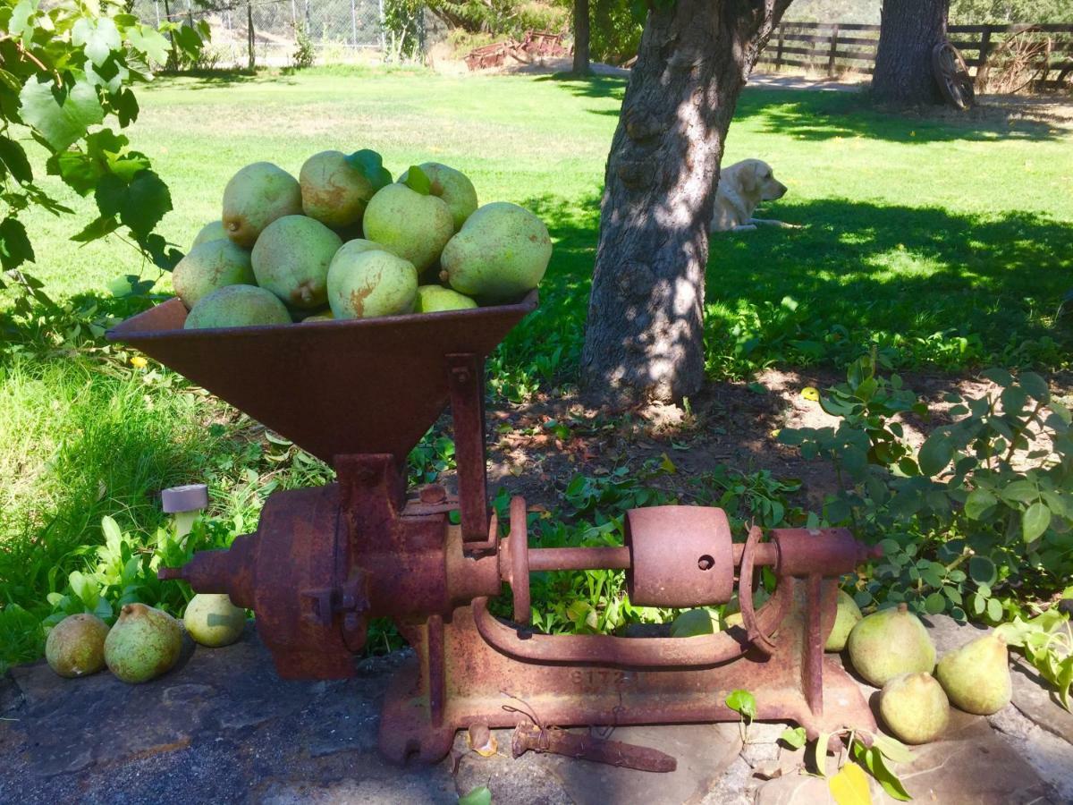 Rustridge Ranch & Winery Bed and Breakfast St. Helena Exteriör bild