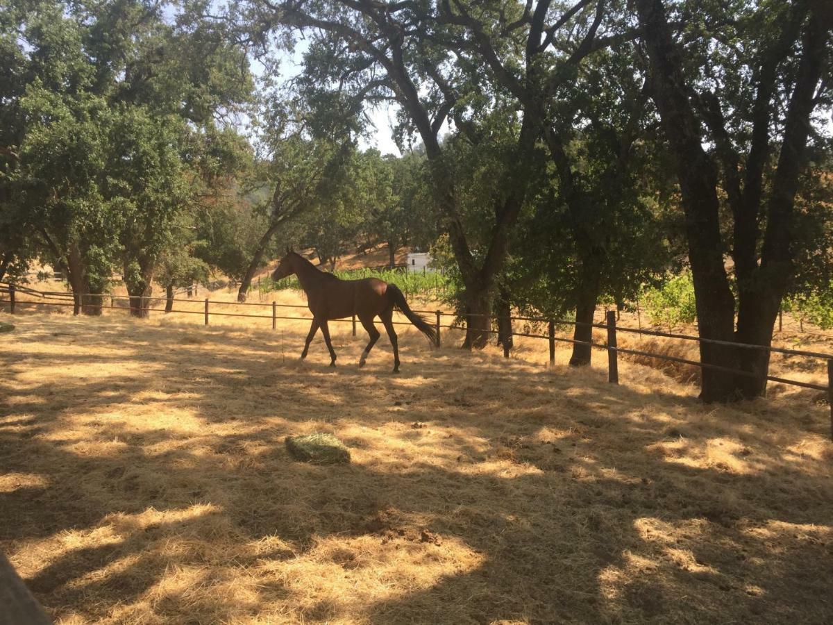 Rustridge Ranch & Winery Bed and Breakfast St. Helena Exteriör bild